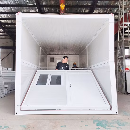 20FT abordable petite maison modulaire préfabriquée maison préfabriquée expédition de luxe soulagement moderne paquet plat extensible pliant conteneur de stockage fabricant de maison